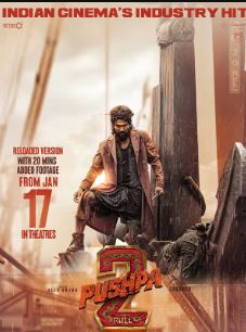 Pushpa 2 Reloaded Filmyfly 2025 Hindi Dubbed Movie Download 480p 720p 1080p 