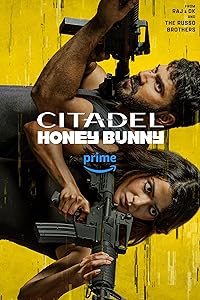 Citadel Honey Bunny FilmyFly 2024 Hindi Tamil Telugu Malayalam Kannnada English 480p 720p 1080p